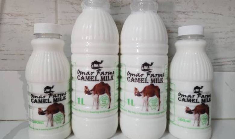 Fresh Camel Milk