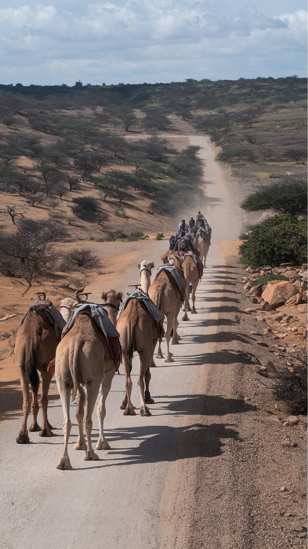 Journey through Tanzania to Zambia